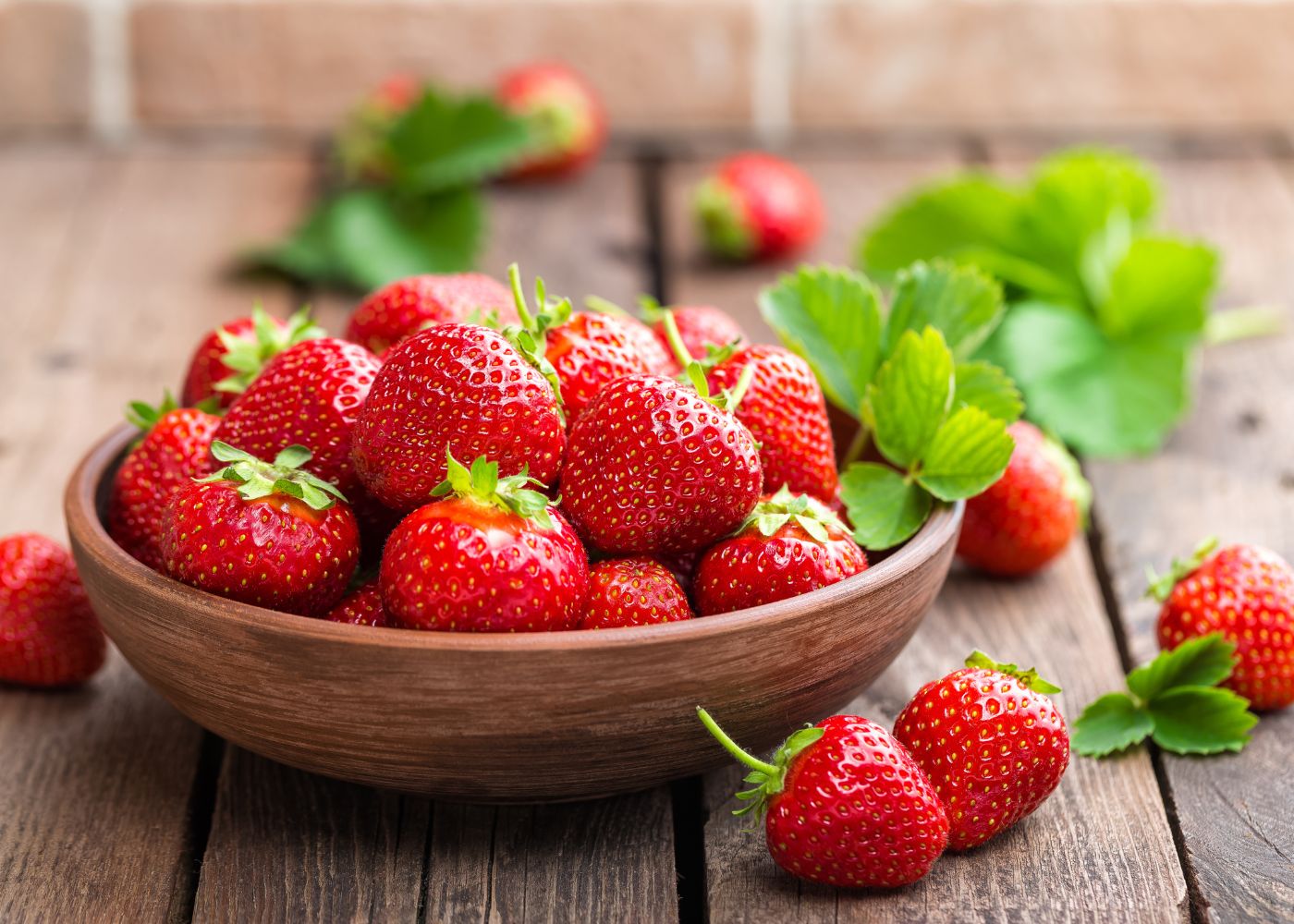 Comment choisir le support idéal pour vos fraisiers ?